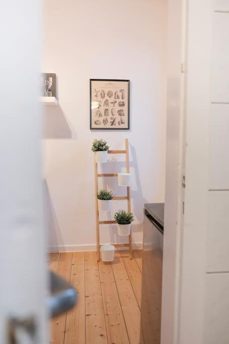 Stadtoase Design Wohnung In Der Altstadt Von Koblenz Koblenz  Eksteriør bilde