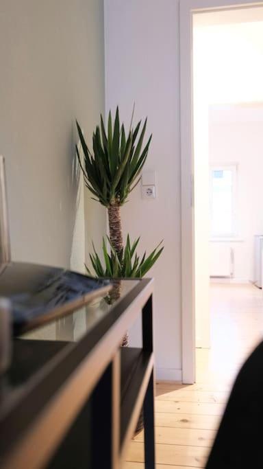 Stadtoase Design Wohnung In Der Altstadt Von Koblenz Koblenz  Eksteriør bilde